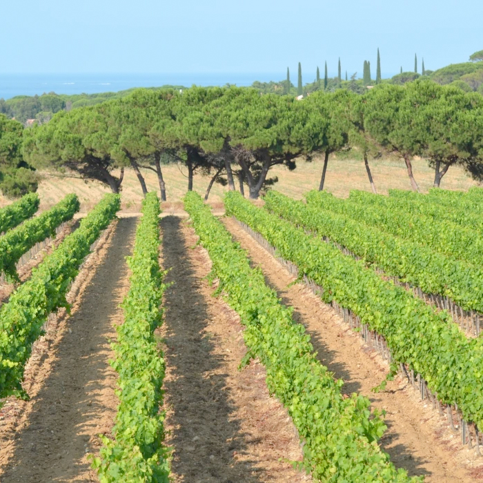 Provence